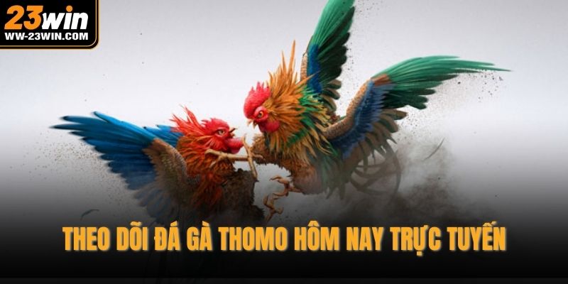 Theo dõi đá gà thomo hôm nay trực tuyến